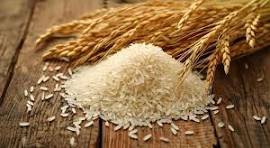 how to cook rice perfectly